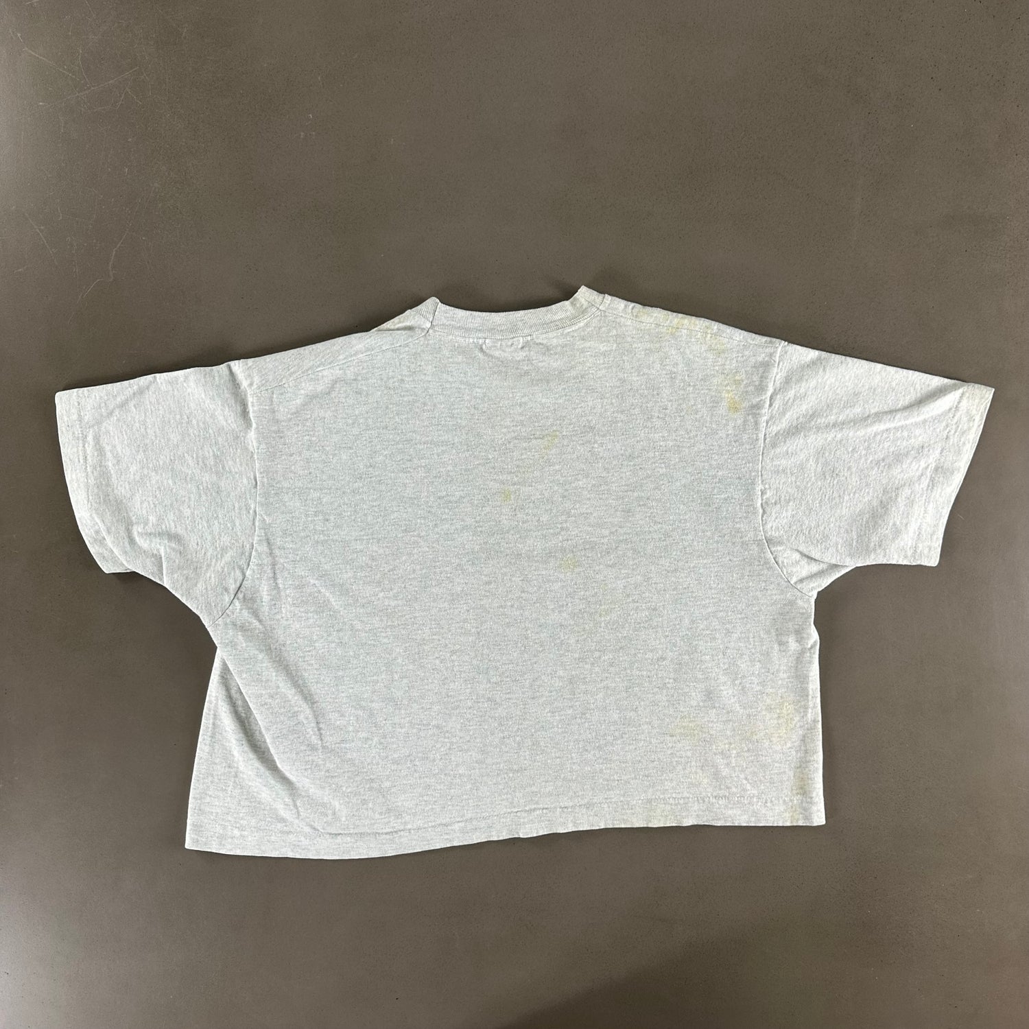 Vintage 1990s Aspen T-shirt size OSFA