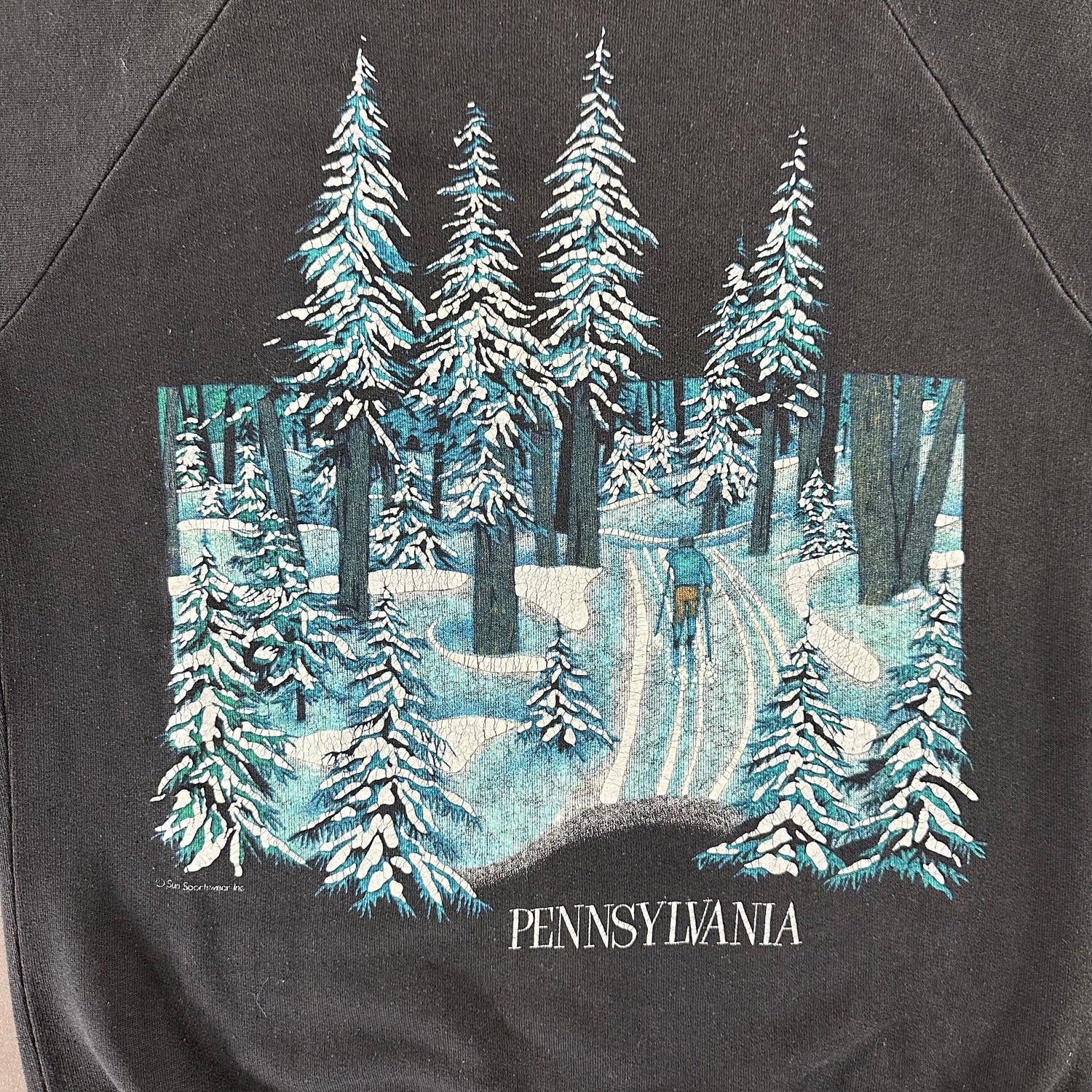 Vintage 1980s Pennsylvania Sweatshirt size Medium