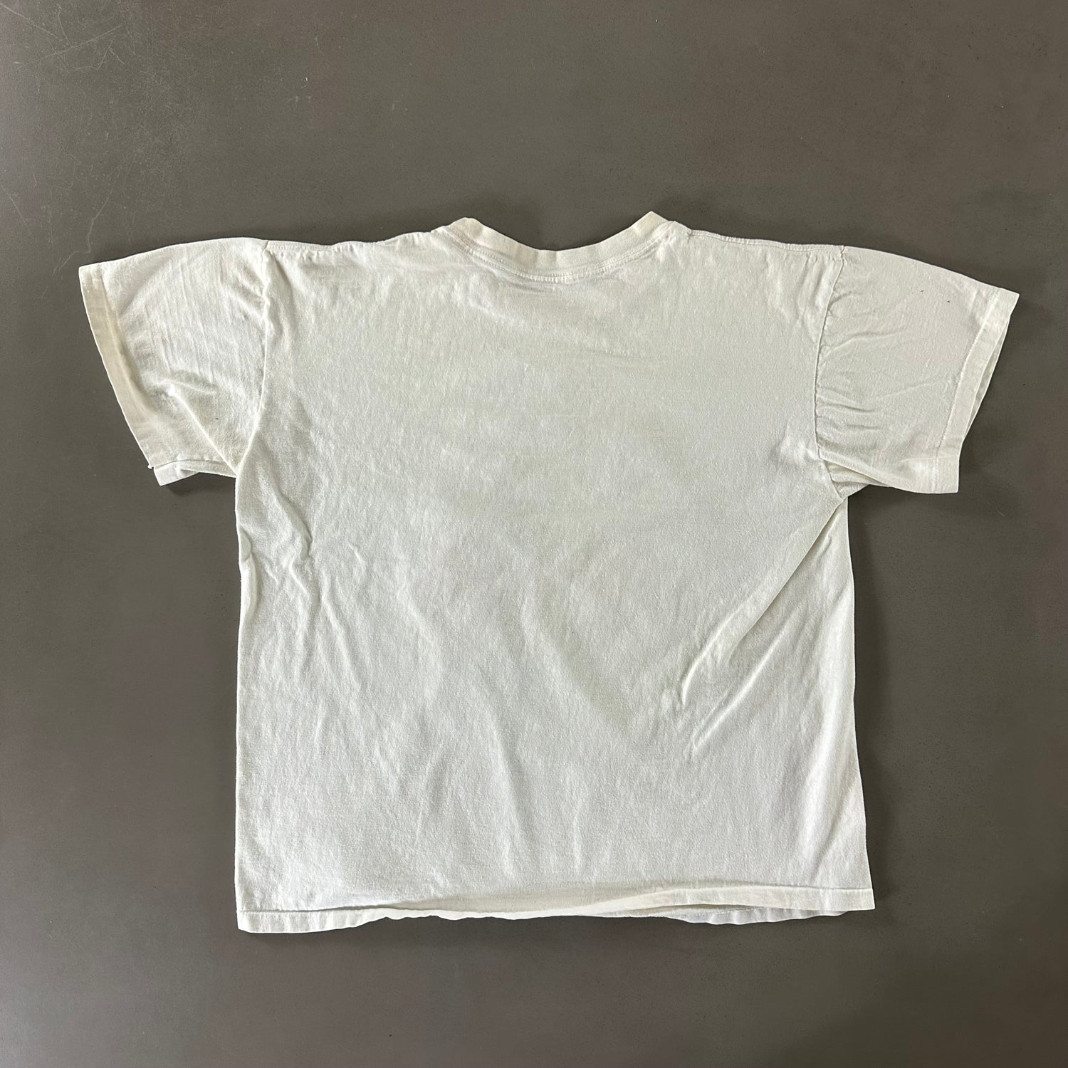 Vintage 1990s Busch Gardens T-shirt size XL
