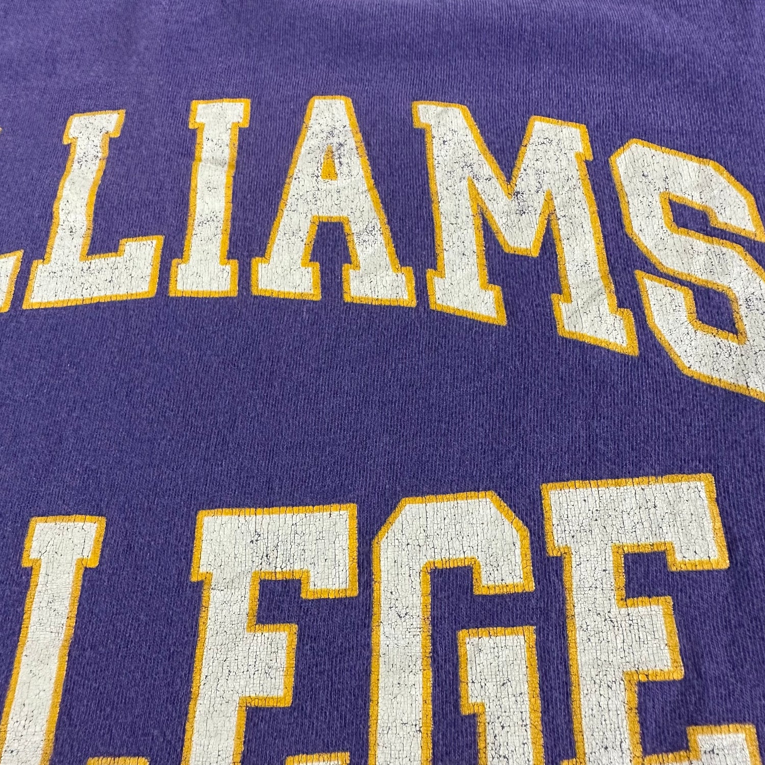 Vintage 1990s Williams College T-shirt size Large