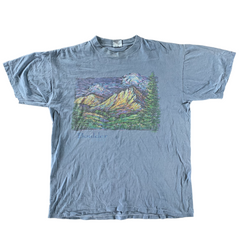 Vintage 1990s Oversized Boulder Colorado T-shirt size XL