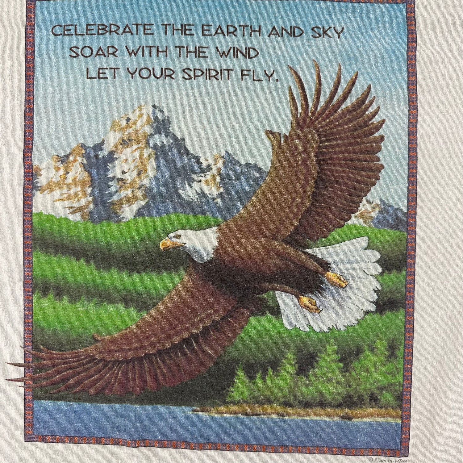 Vintage 1990s Soar with the Wind T-shirt size XL