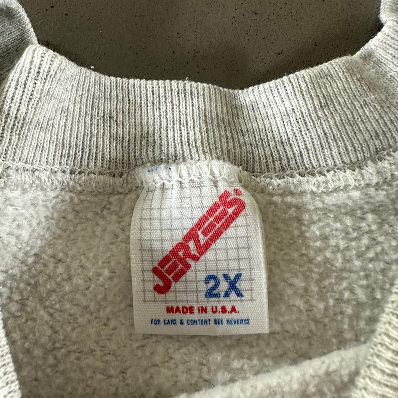 Vintage 1990s Illinois Sweatshirt size 2XL