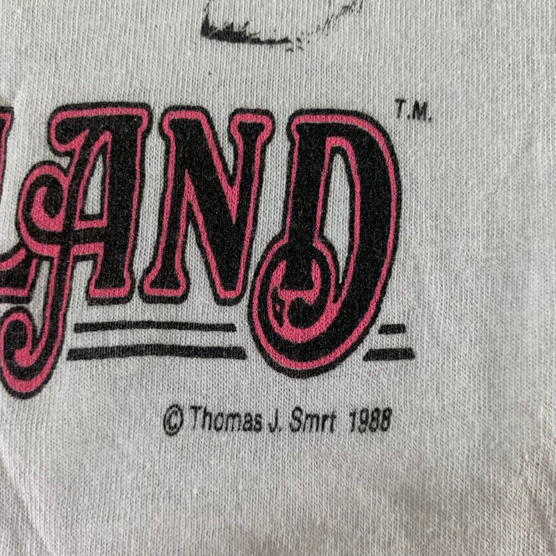 Vintage 1988 Shireland T-shirt size Small