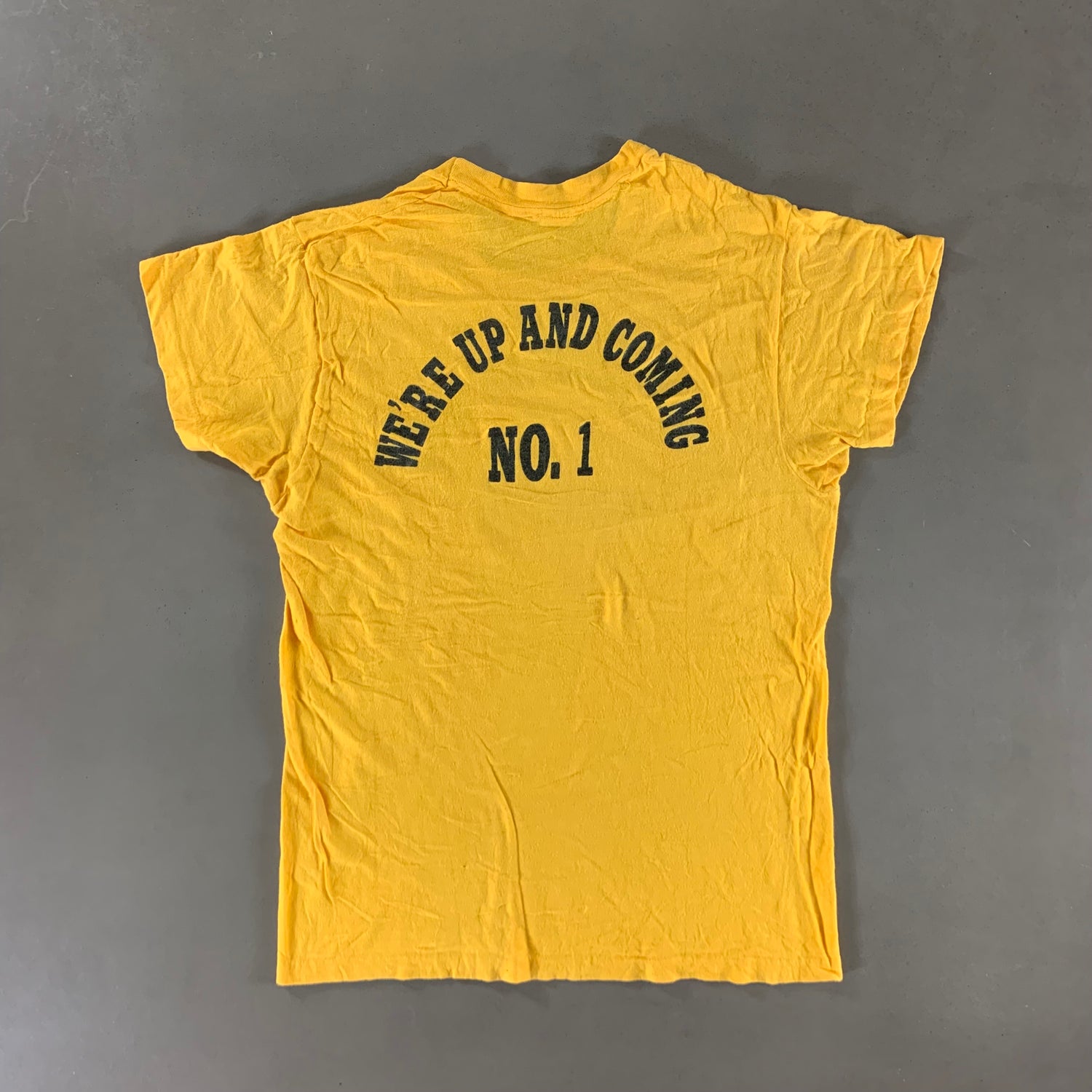 Vintage 1970s Appalachian State University T-shirt size Large